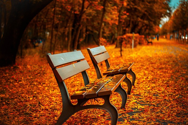 lavičky v podzimním parku